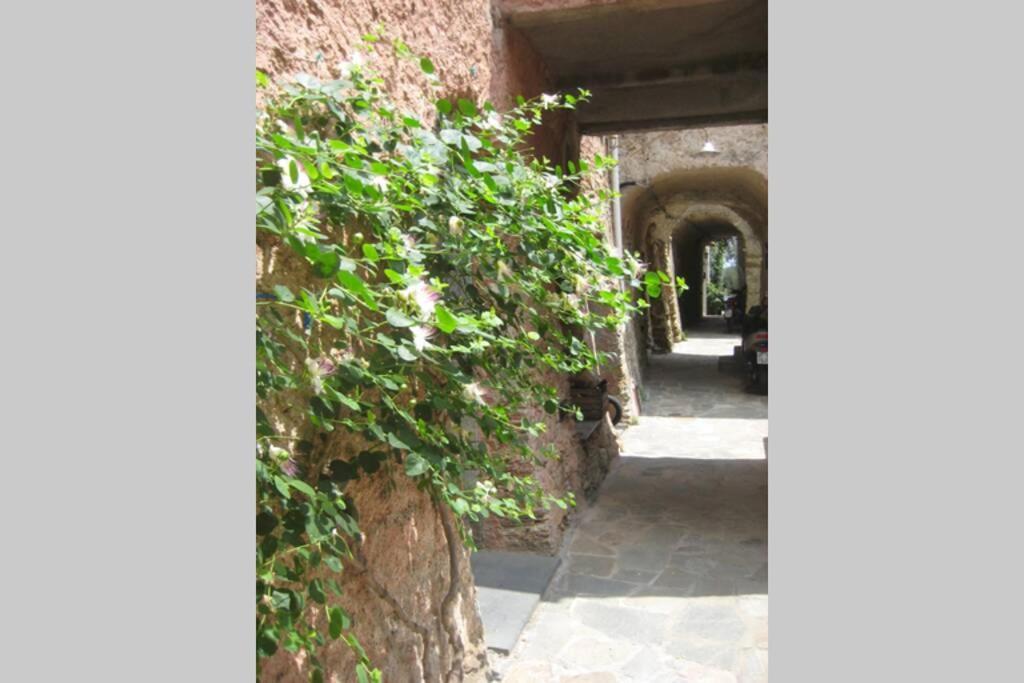 La Casa Di Sandra A Noli别墅 外观 照片